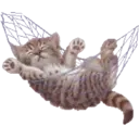 ☆ Animalitos Cute Mov. ☆ 1