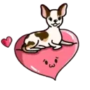 perritoshappymov 15