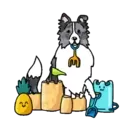 perritoshappymov 27