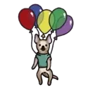perritoshappymov 25