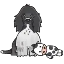 perritoshappymov 14