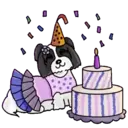 perritoshappymov 12