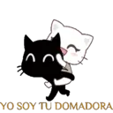 GATITA TOXICA 16