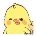 Hello QuackMovi 4