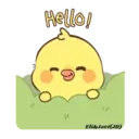 Hello QuackMovi 14