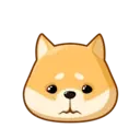 Akiovk dog 10