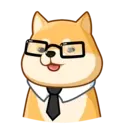Akiovk dog 25