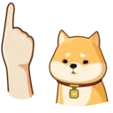 Akiovk dog 20