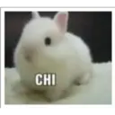 CHI