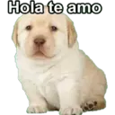 Hola te amo