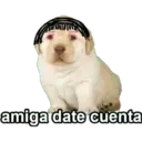 UNIFO
amiga date cuenta