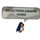 PINWIMEMES 10