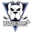 Perros pitbull 11