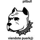 Perros pitbull 1