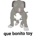 Perros pitbull 10