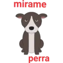 Perros pitbull 9