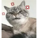 🌸Anime y más 🌸 7