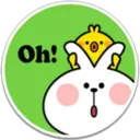 SPOLIED RABBIT PHRASES 25