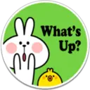 SPOLIED RABBIT PHRASES 19