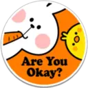 SPOLIED RABBIT PHRASES 13