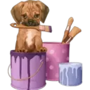 》Dogs  《 16