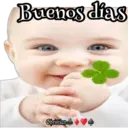 Ternuritas bbs 19