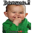 Ternuritas bbs 16