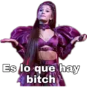 Variados 5