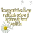 Ten seguridad en lo que
realmente quieres
lograras un buent
resultado