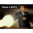 Toma x perra