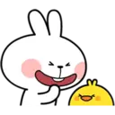 Bunny 10