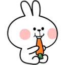 Bunny 11