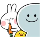 Bunny 5