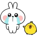 Bunny 9