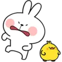 Bunny 8