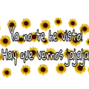 Ya no te he visto
Hay que vemos jajaja
