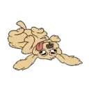 MiX DoGs 15