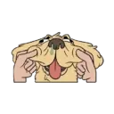 MiX DoGs 8