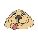 MiX DoGs 1