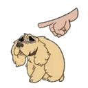 MiX DoGs 12