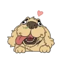 MiX DoGs 10
