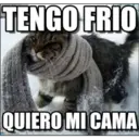 TENGO FRIO
QUIERO MI CAMA