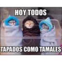 HOY TODOS
TAPADOS COMO TAMALES