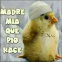 MADRE
MIA
QUE
PIO
HACE
NAO