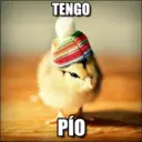 TENGO
PIO