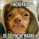 FINCHE FRIO
DE SU FINCHE MADRE..