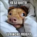 YA SE QUITÓ
EL FINCHE FRÍO??