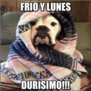 FRIO Y LUNES
DURISIMO!!!