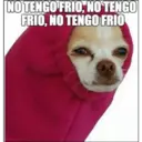 NO TENGO FRIO, NO TENGO
FRIO, NO TENGO FRIO