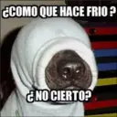 ¿COMO QUE HACE FRIO?
¿NO CIERTO?